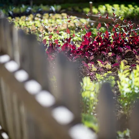 Flocons De Sel - Relais & Chateaux