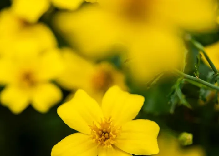 Flocons De Sel - Relais & Chateaux 5* Megève