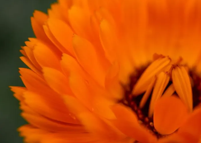 Hotell Flocons De Sel - Relais & Chateaux