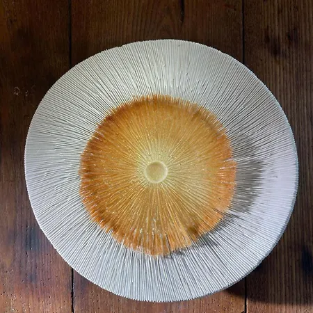 Flocons De Sel - Relais & Chateaux 5* Межев